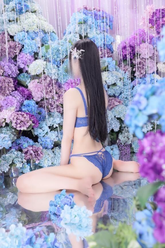 カエルを探せ