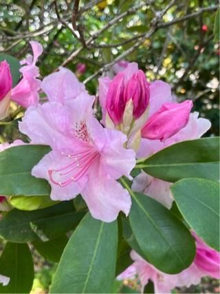 ありがとうございました