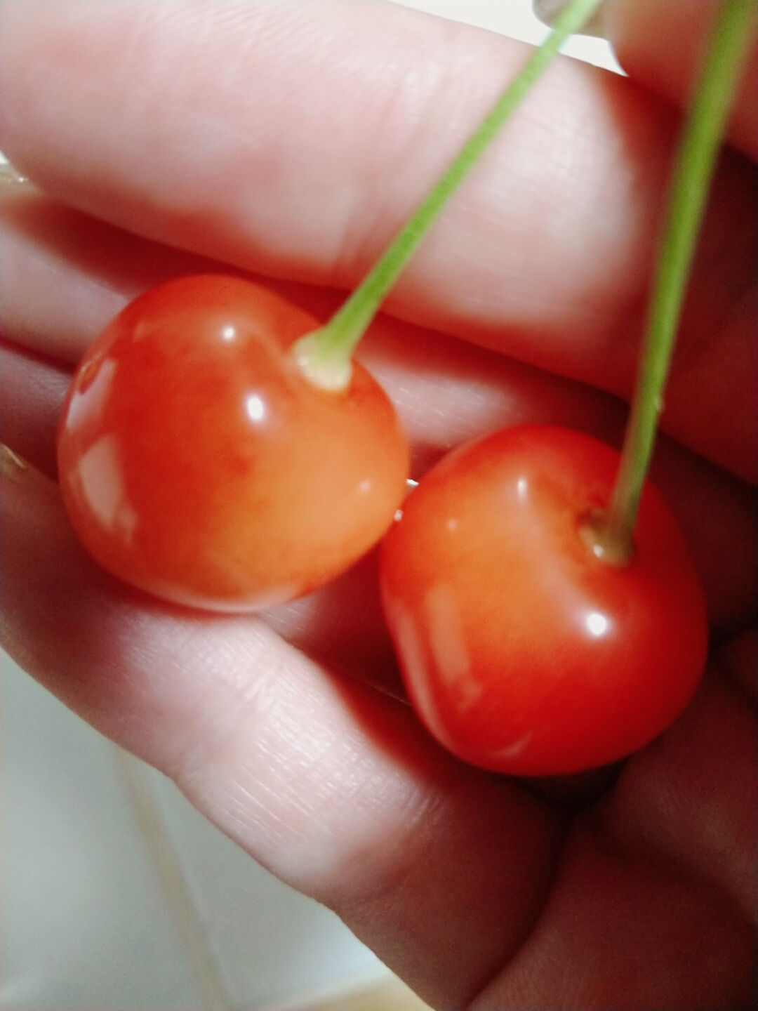 はじめましてのYさん&#127826;