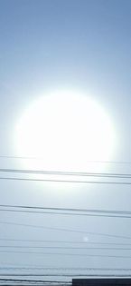 李今朝は…李