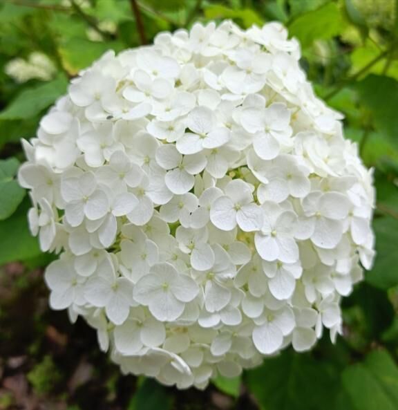 &#128149;おはりょう&#128149;