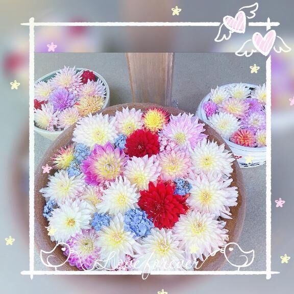 おはようございます&#9825;