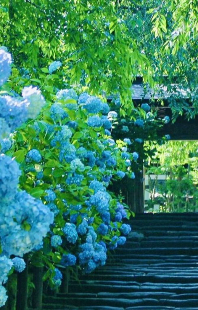 予定など&#127808;