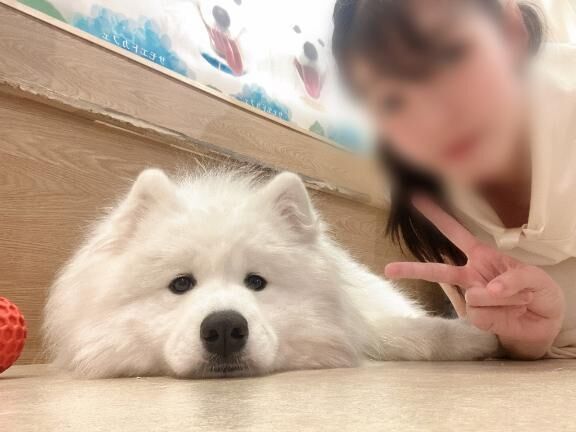 【&#128062;東京&#128062;】