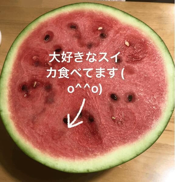 いつもより早いけど