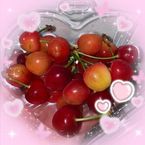 ゆきの本日出勤します♪