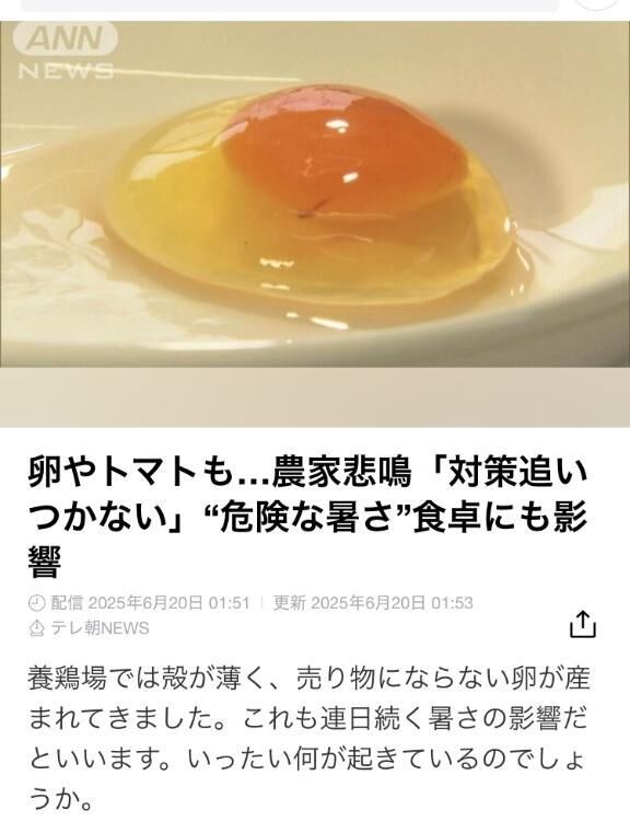 「夏バテなんですけど