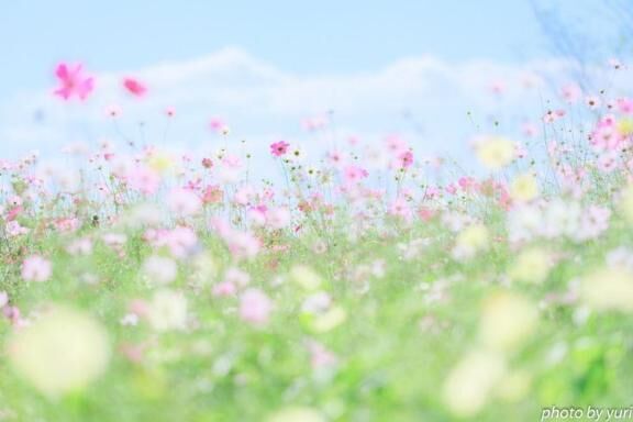 お礼
