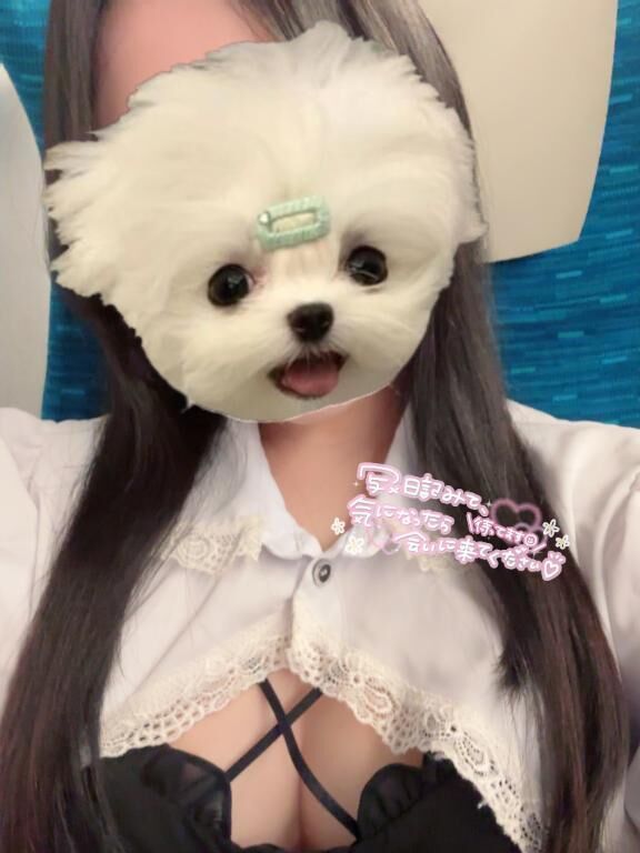 来月行くよ&#x301C;&#128644;&#11088;&#65039;