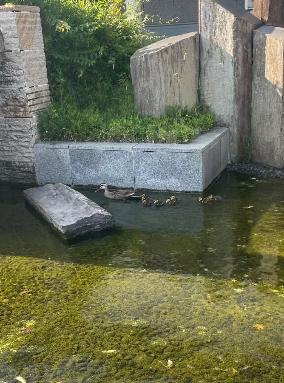 向かってます&#129414;