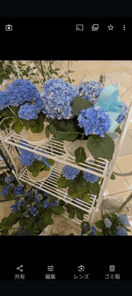 事前御予約ありがとうございます