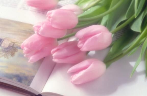 花花　Ｍ様&#128147;