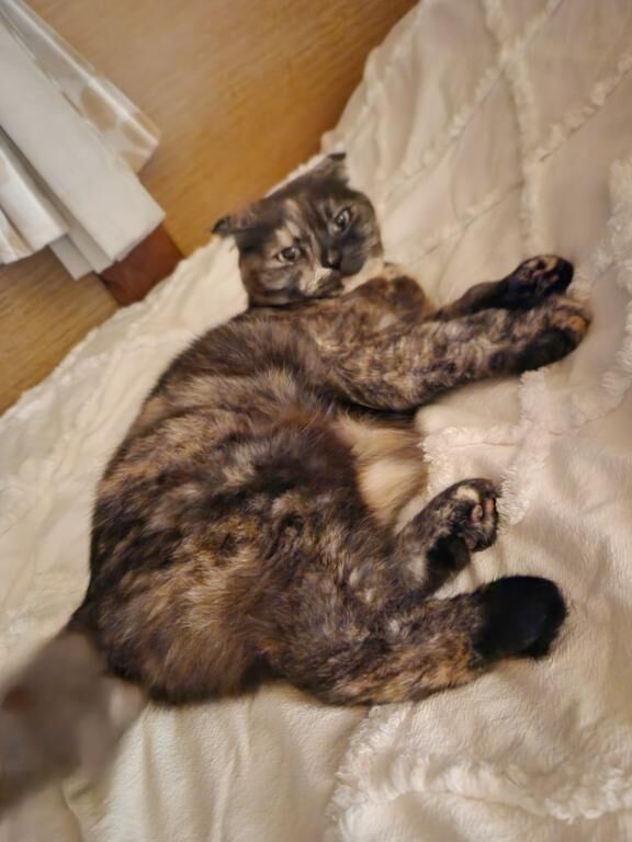 なう&#128049;