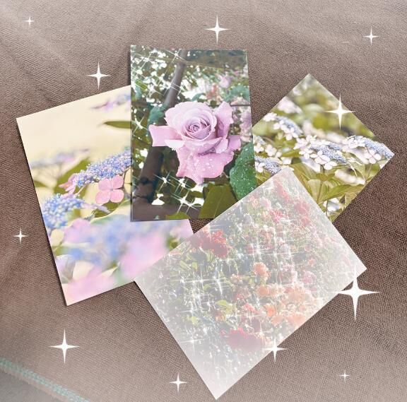 写真ありがとう&#127801;