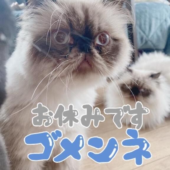 本日はご予約のみ出勤になりました