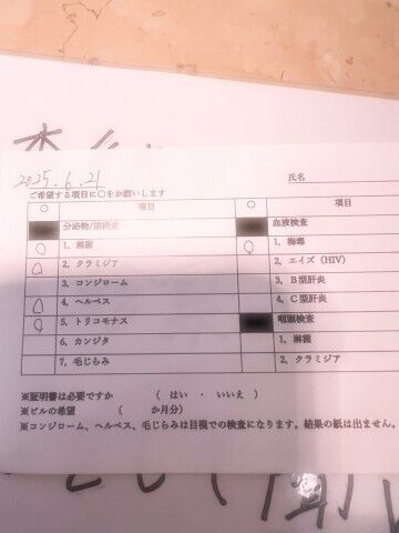 今日は、