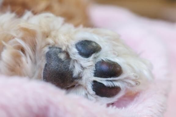 今日の暇つぶしにやってみて！