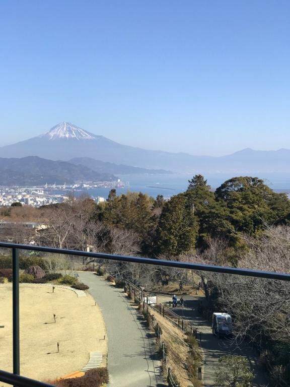 こんにちは。(^O^)