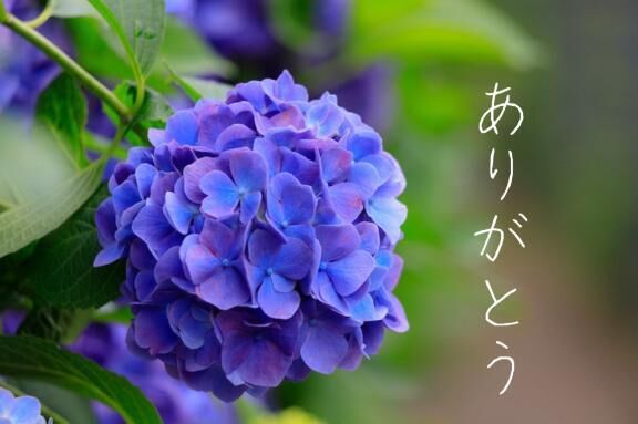 &#9825;&#9825;ありがとう日記&#9825;&#9825;