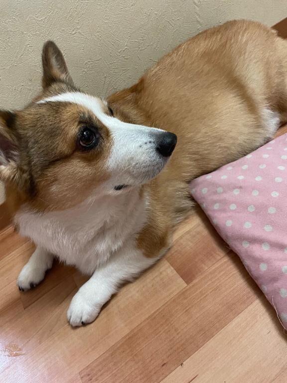 明日ゎ、、