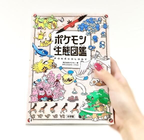 みつけた&#x301C;！！