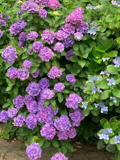 かすみんの至福の時