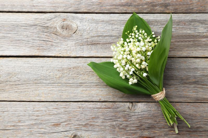 21日(土)　12時　&#9825;様