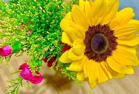 &#9825;&#65038;ﾂﾝ( *´∀`)σ&#127803;ﾂﾝ&#9825;&#65038;