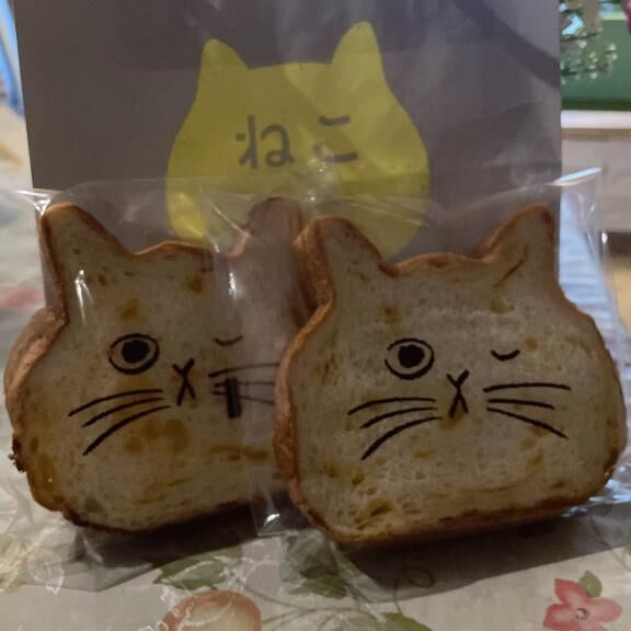 にゃあ&#3589;(&#729;&#42163;&#729;&#3589;)