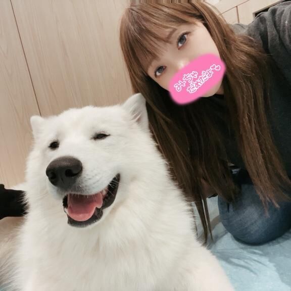 [お題]from:まい姫さん