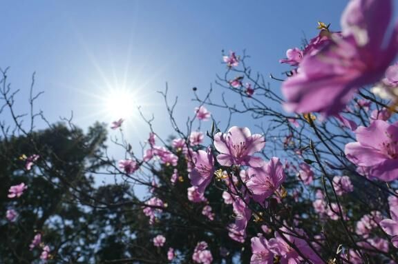 明日は出勤日