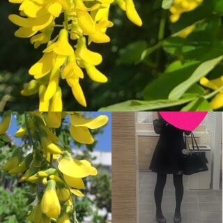 おはようございます♪