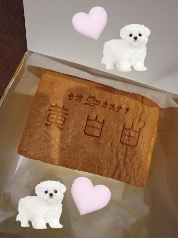 完売してます&#9825;
