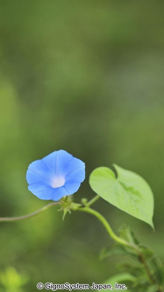 出勤しました&#9825;