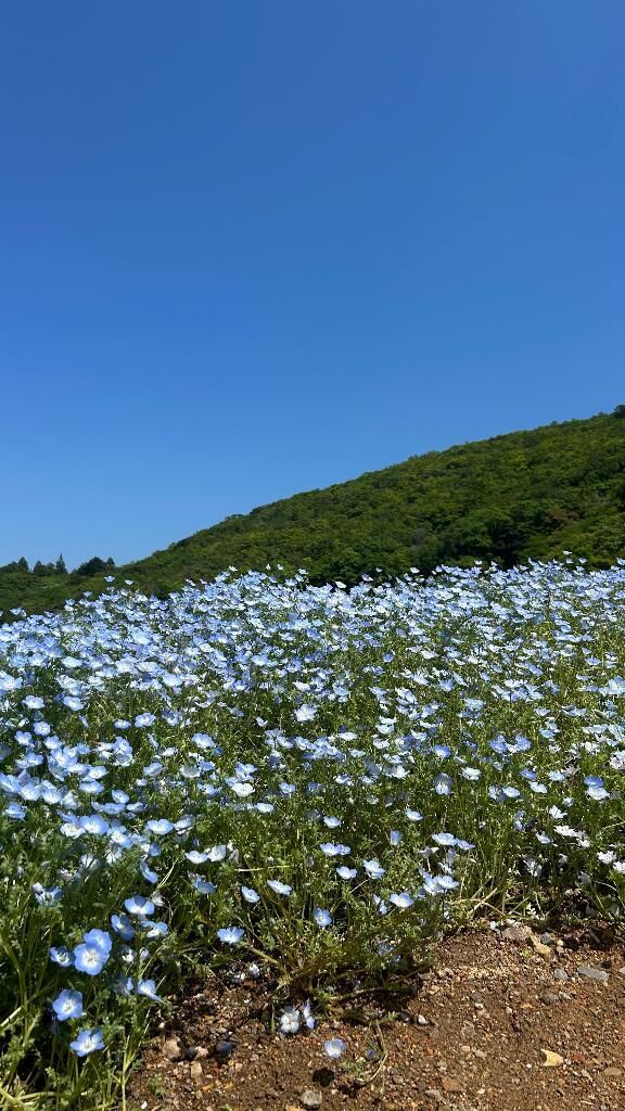 ごめんなさい&#9825;
