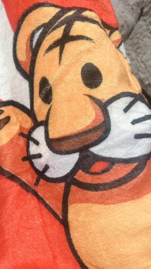 来週の予定