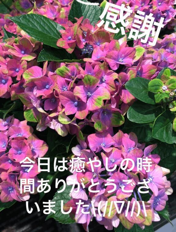 お礼です♡