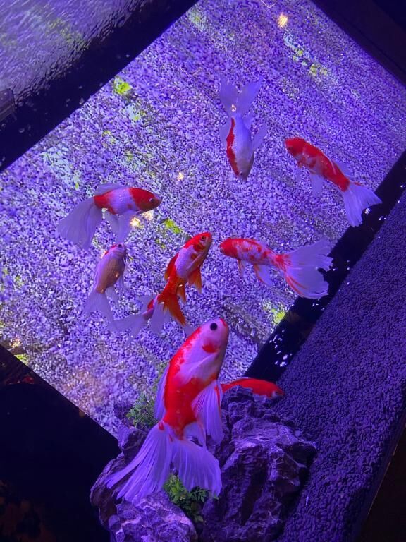 こんばんは&#9825;