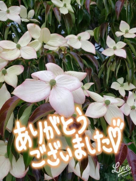 ありがとうございます&#127808;