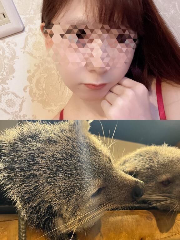 動物かわいい