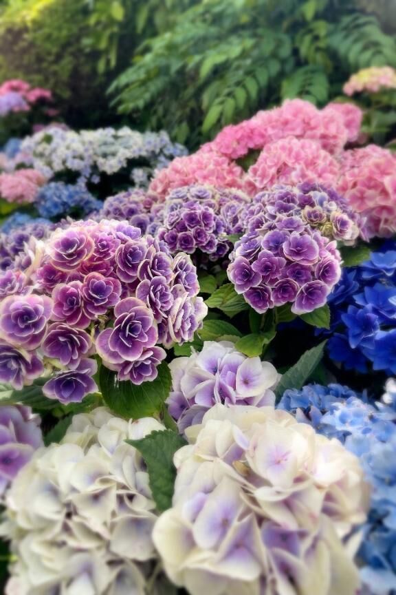 &#9825;おはようございます&#9825;