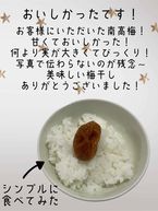 おはよう日記!