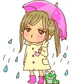 今日は☔