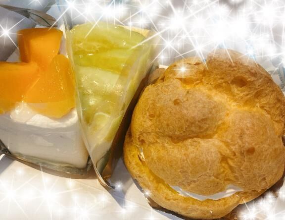 昨日　ソフィア仲良し様