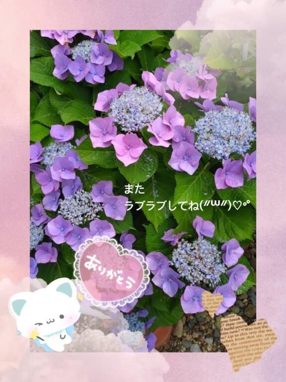 お礼です&#9825;