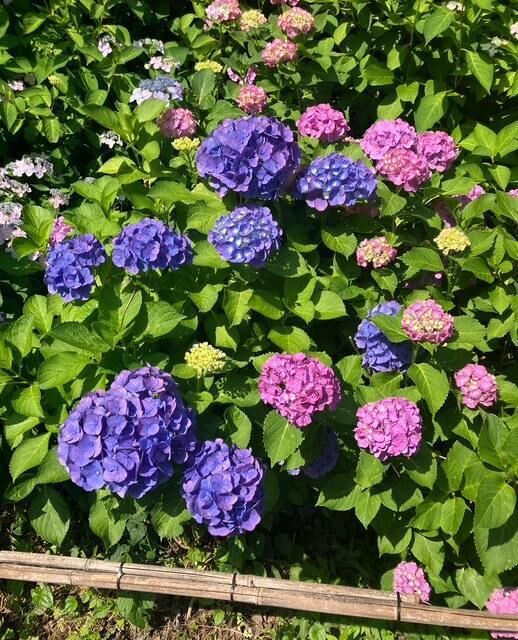 こんばんは☆