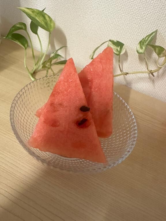 涼を求めて&#9825;