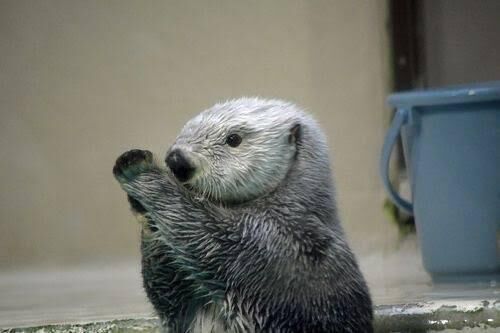 ありがとうございました&#10024;