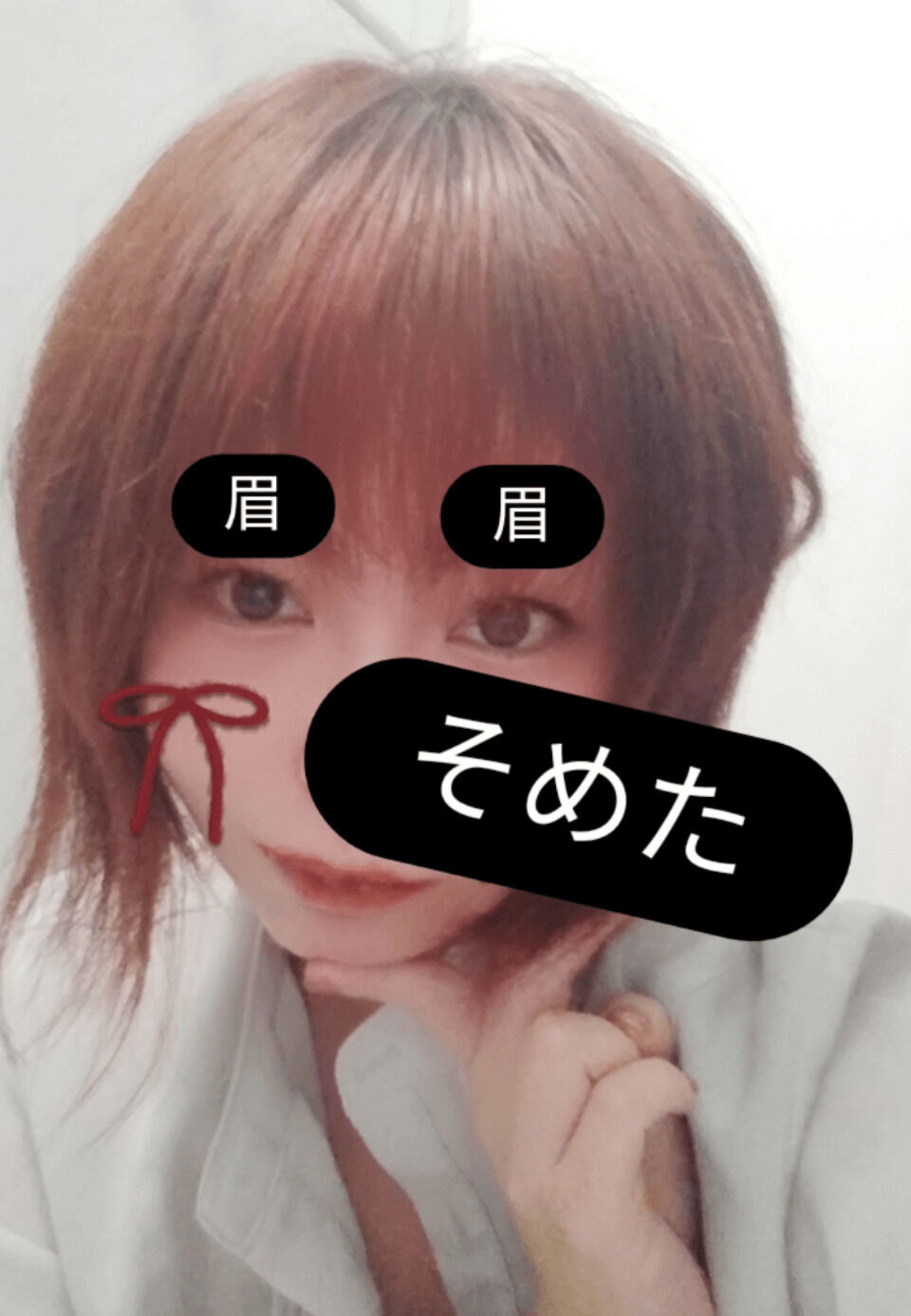 家の猫に似てる