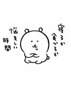 お礼(火曜日)お休み❗